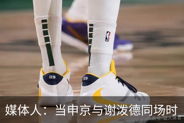 媒体人：当申京与谢泼德同场时 火箭的挡拆防守会被对手无情摧毁